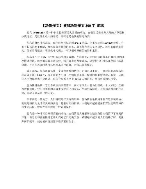 【动物作文】描写动物作文300字 鸵鸟