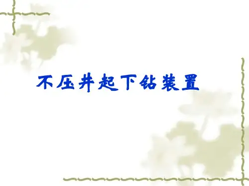 06欠平衡钻井设备工具-不压井(BJ)