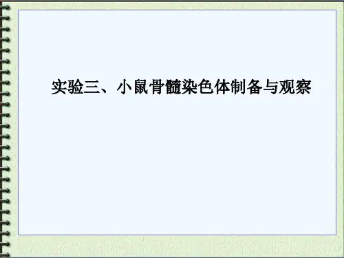 实验三、小鼠骨髓染色体制备与观察PPT课件