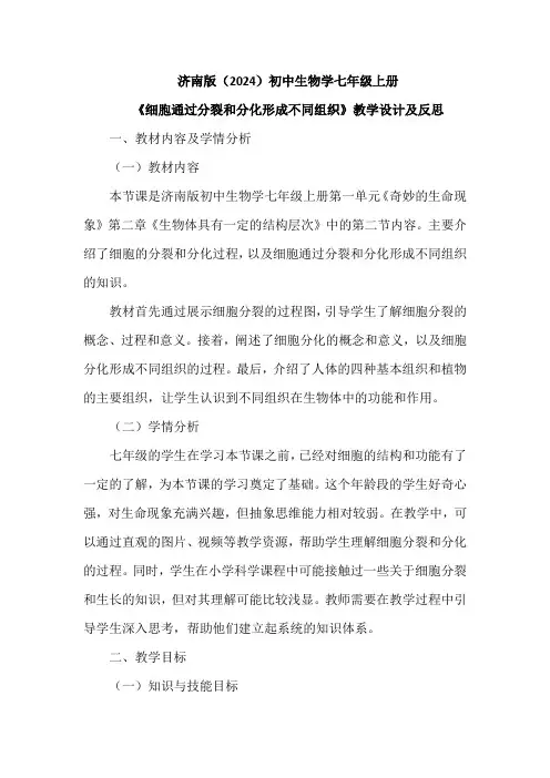 济南版(2024)初中生物学七年级上册《细胞通过分裂和分化形成不同组织》教学设计及反思