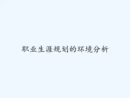 职业生涯规划的环境分析ppt