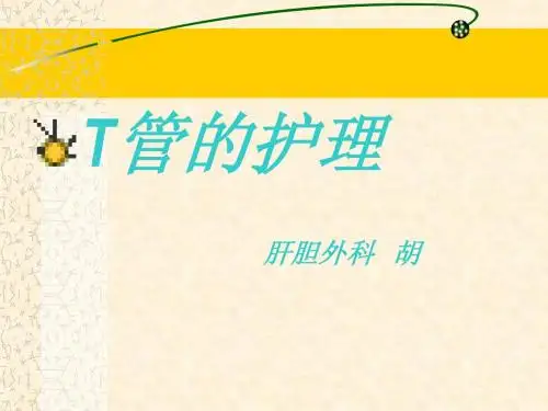 T管引流的护理