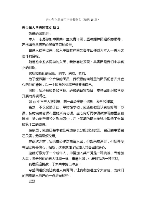 青少年入共青团申请书范文（精选16篇）