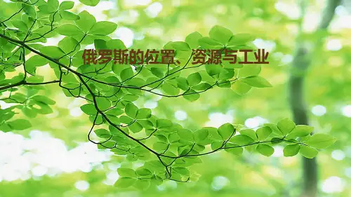 中考地理一轮复习 俄罗斯的位置、资源与工业地理课件