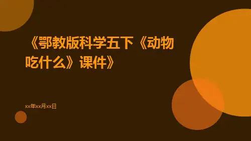鄂教版科学五下《动物吃什么》课件