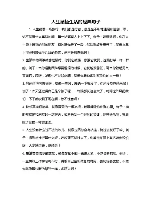 人生感悟生活的经典句子