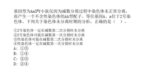 高中生物一轮复习课件-减数分裂异常