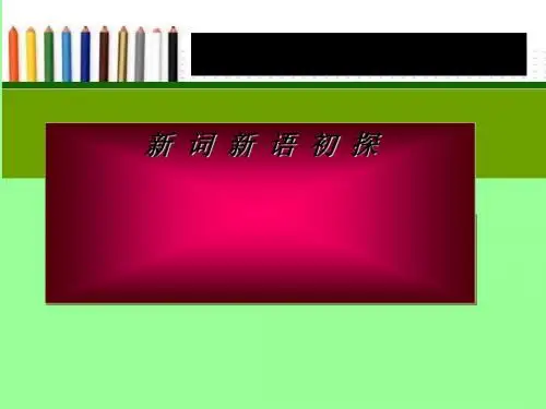 新词新语与流行文化PPT16