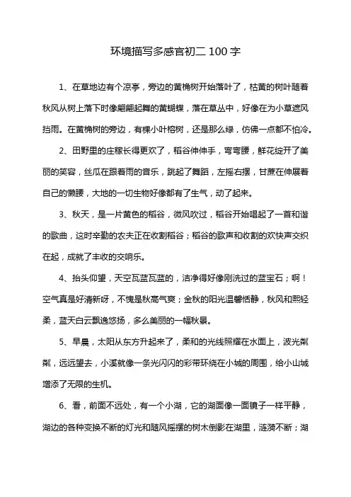 环境描写多感官初二100字