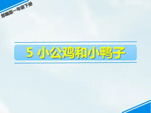 《小公鸡和小鸭子》PPT优秀课件