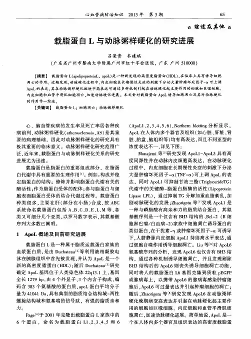 载脂蛋白L与动脉粥样硬化的研究进展