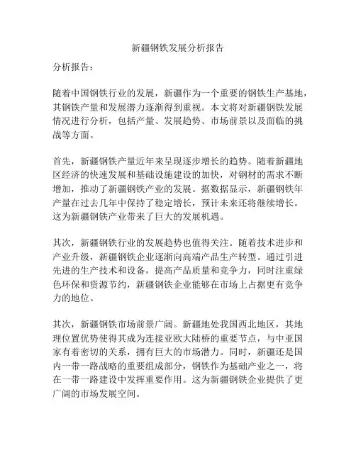 新疆钢铁发展分析报告