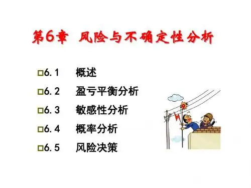 2012-6风险与不确定性分析(1)
