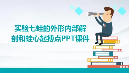 实验七蛙的外形内部解剖和蛙心起搏点PPT课件