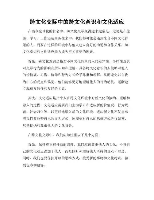 跨文化交际中的跨文化意识和文化适应
