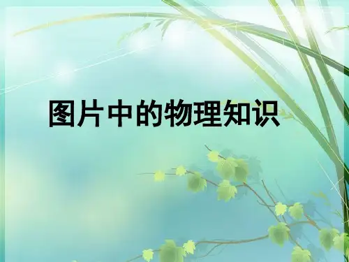 初中物理图片复习 PPT课件 图文