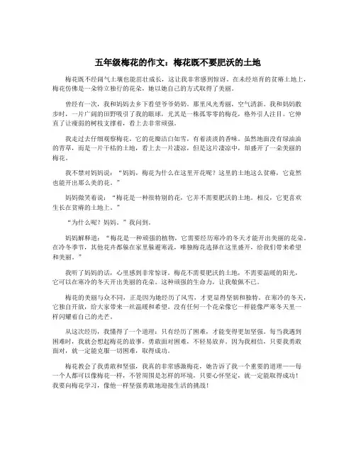 五年级梅花的作文：梅花既不要肥沃的土地