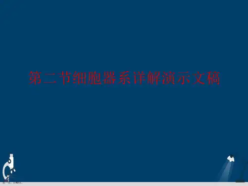 第二节细胞器系详解演示文稿