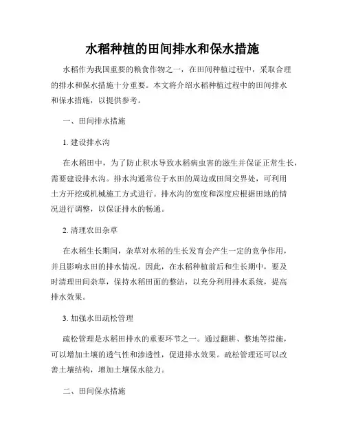 水稻种植的田间排水和保水措施