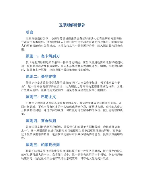 五原则解析报告
