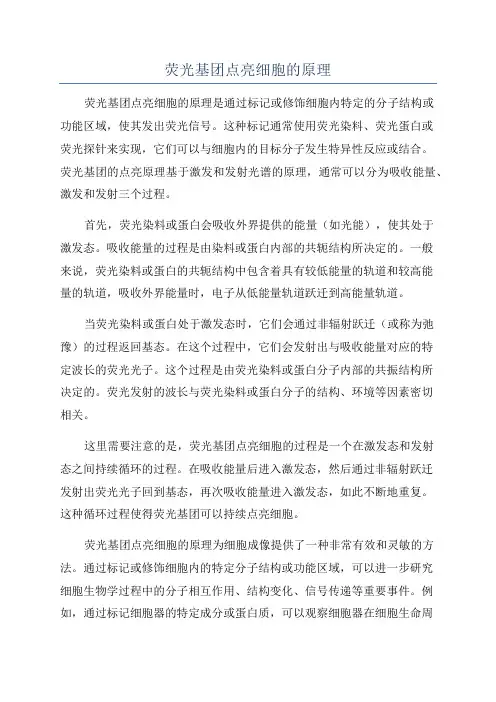 荧光基团点亮细胞的原理