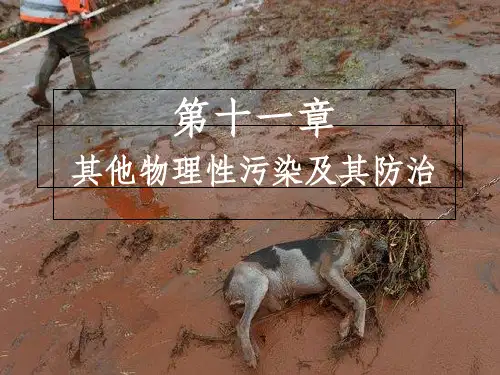 环境保护概论第十一章其他物理性污染及其防治