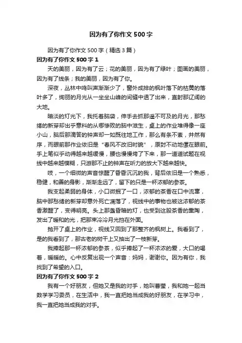 因为有了你作文500字（精选3篇）