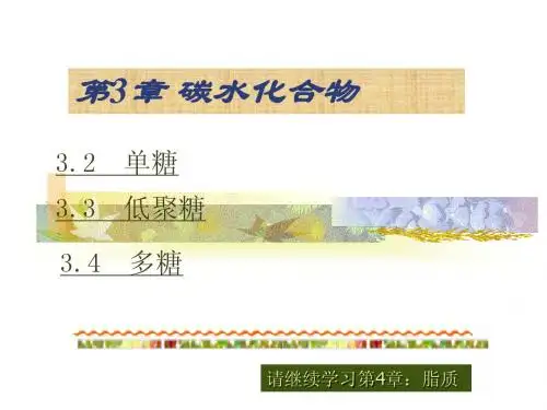 华南农业大学食品化学_03糖