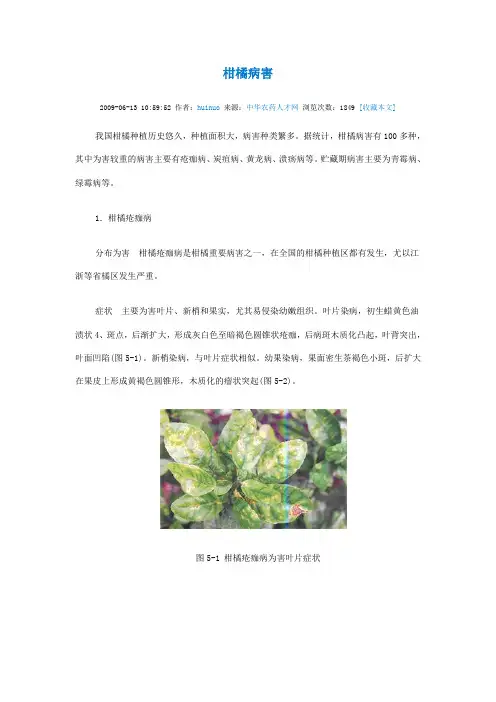 柑橘病害大全