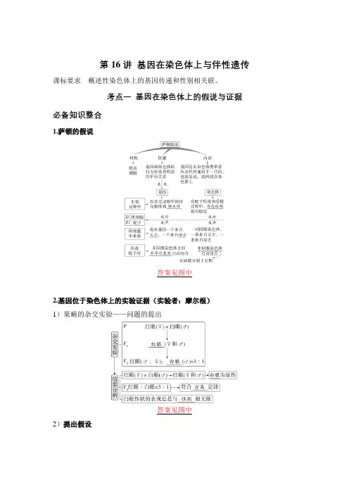 2023届 一轮复习  人教版 基因在染色体上与伴性遗传  学案