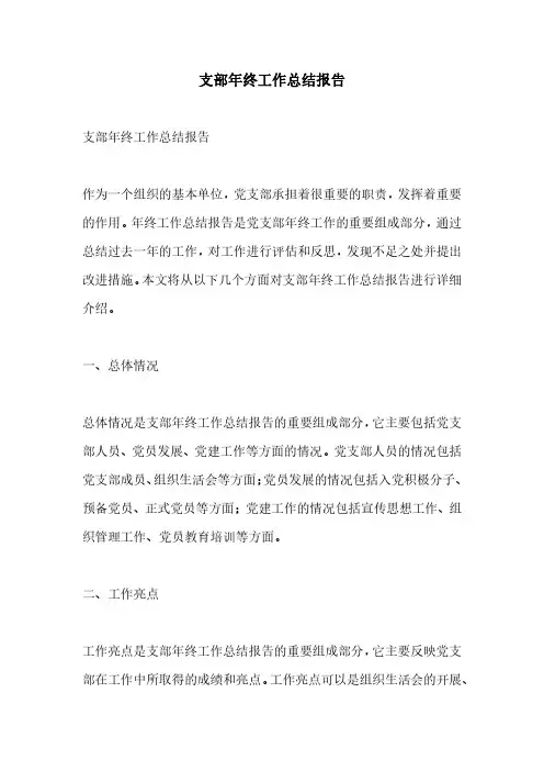 支部年终工作总结报告