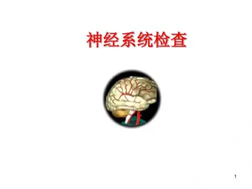 诊断学神经系统体格检查PPT课件