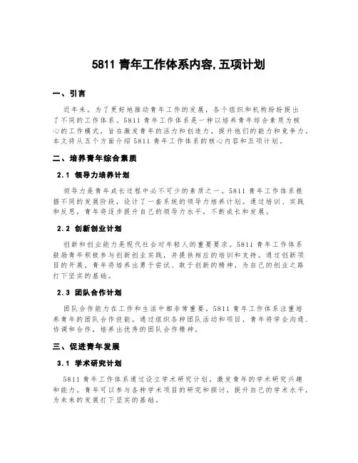 5811青年工作体系内容,五项计划