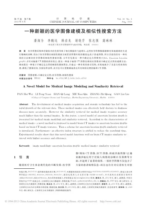 一种新颖的医学图像建模及相似性搜索方法_潘海为