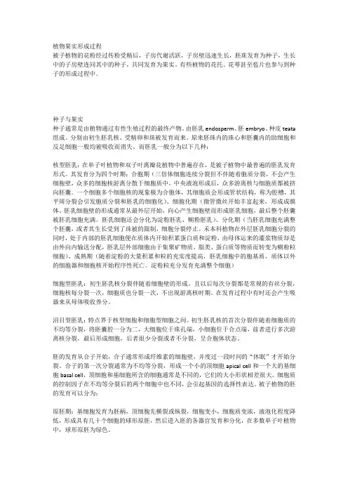 植物果实形成过程