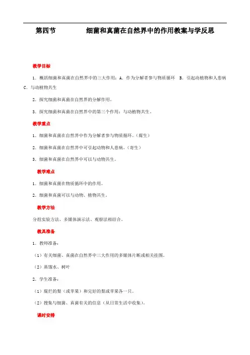人教版八年级生物上册 细菌和真菌在自然界中的作用教案与教学反思金品