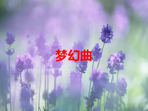《梦幻曲》初中七年级音乐ppt课件教案