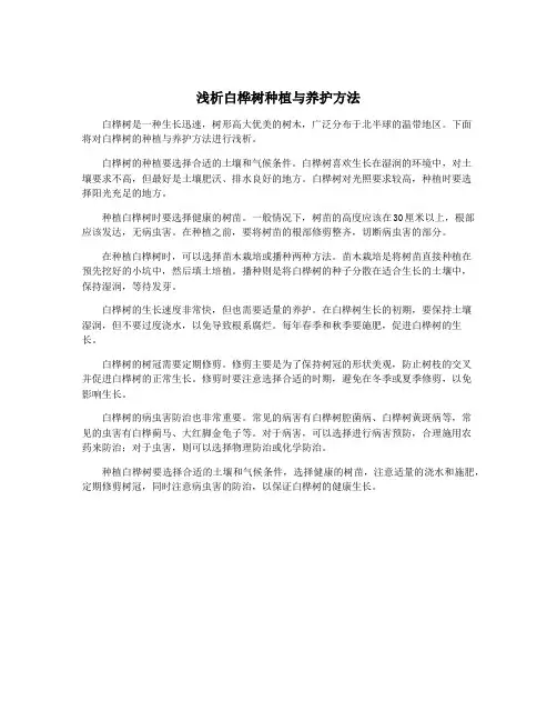 浅析白桦树种植与养护方法