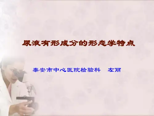 尿液有形成分