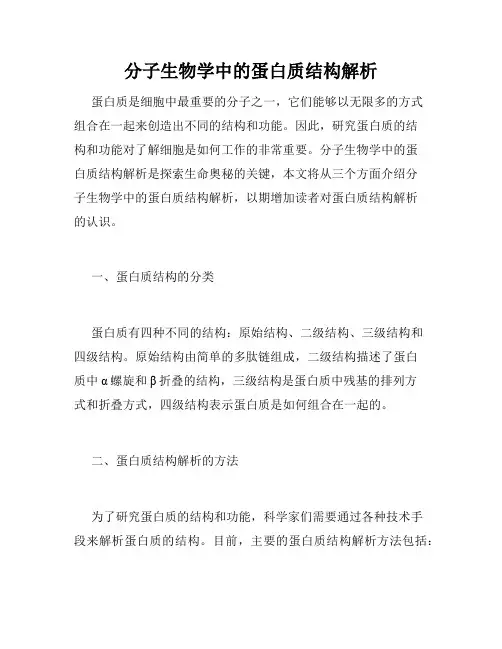 分子生物学中的蛋白质结构解析