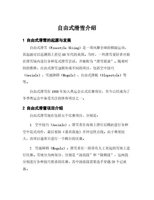 自由式滑雪介绍