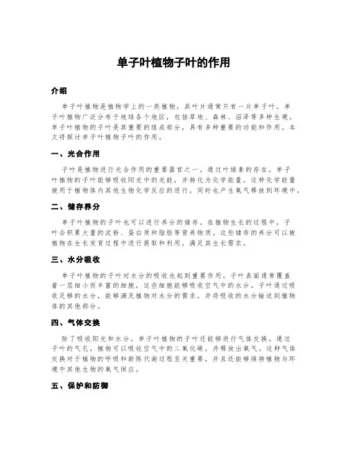 单子叶植物子叶的作用