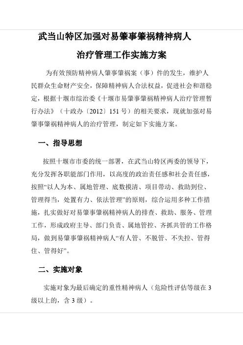 肇事肇祸实施方案