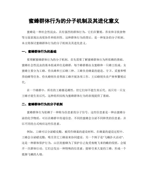 蜜蜂群体行为的分子机制及其进化意义