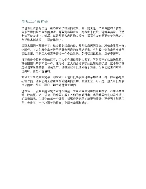 海盐制盐工艺