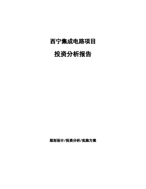 西宁集成电路项目投资分析报告