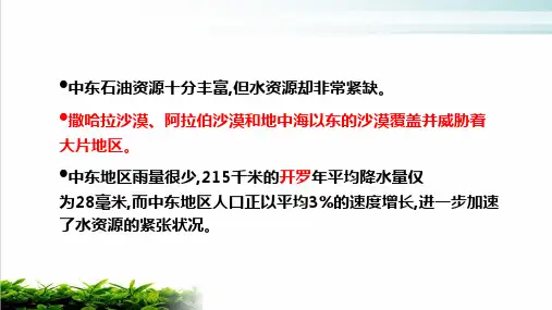人教版PPT《中东》课件