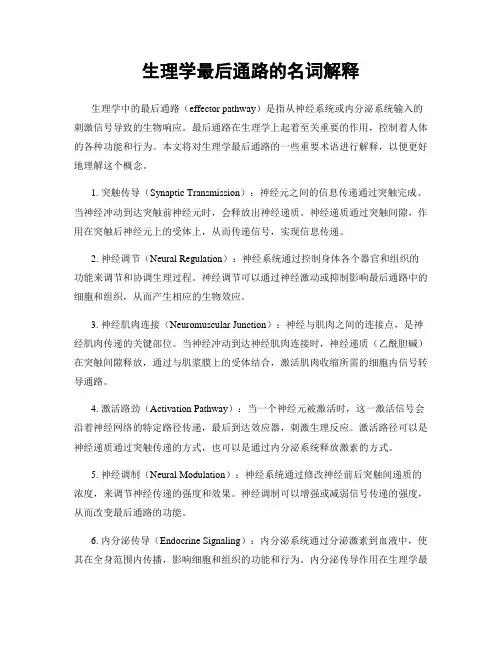 生理学最后通路的名词解释