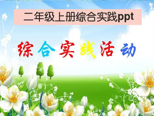二年级上册综合实践ppt