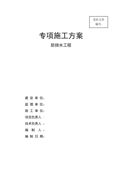 隧道防排水专项施工方案